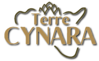 Terre Cynara